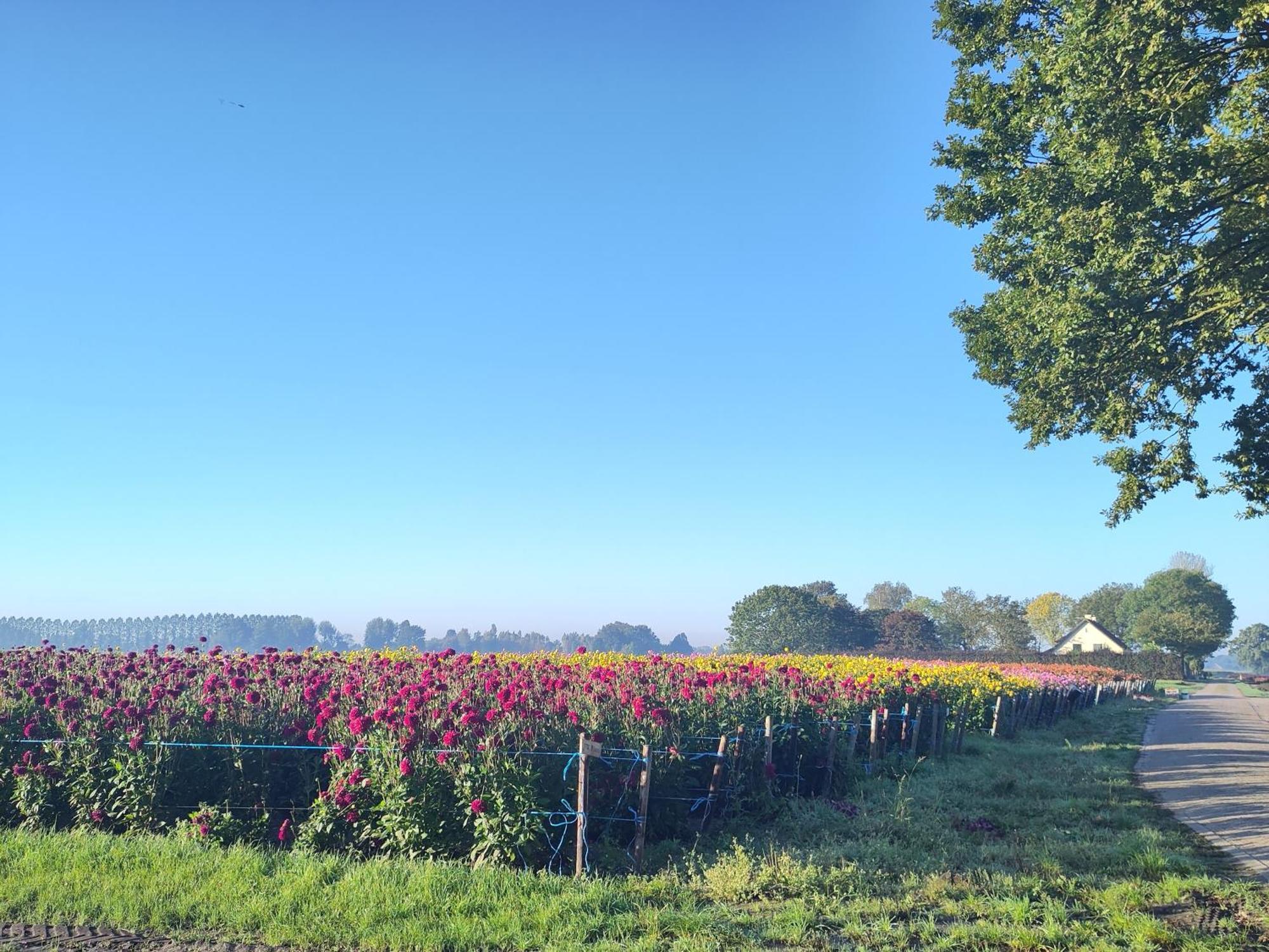 'T Voske Bed & Breakfast Zundert Eksteriør bilde