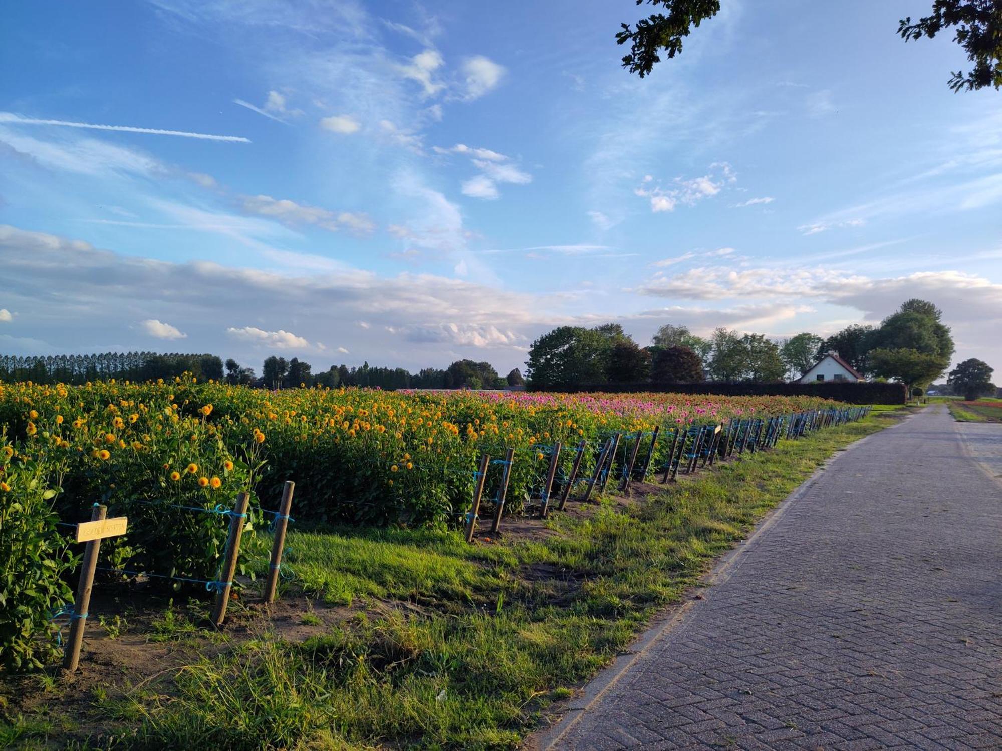 'T Voske Bed & Breakfast Zundert Eksteriør bilde