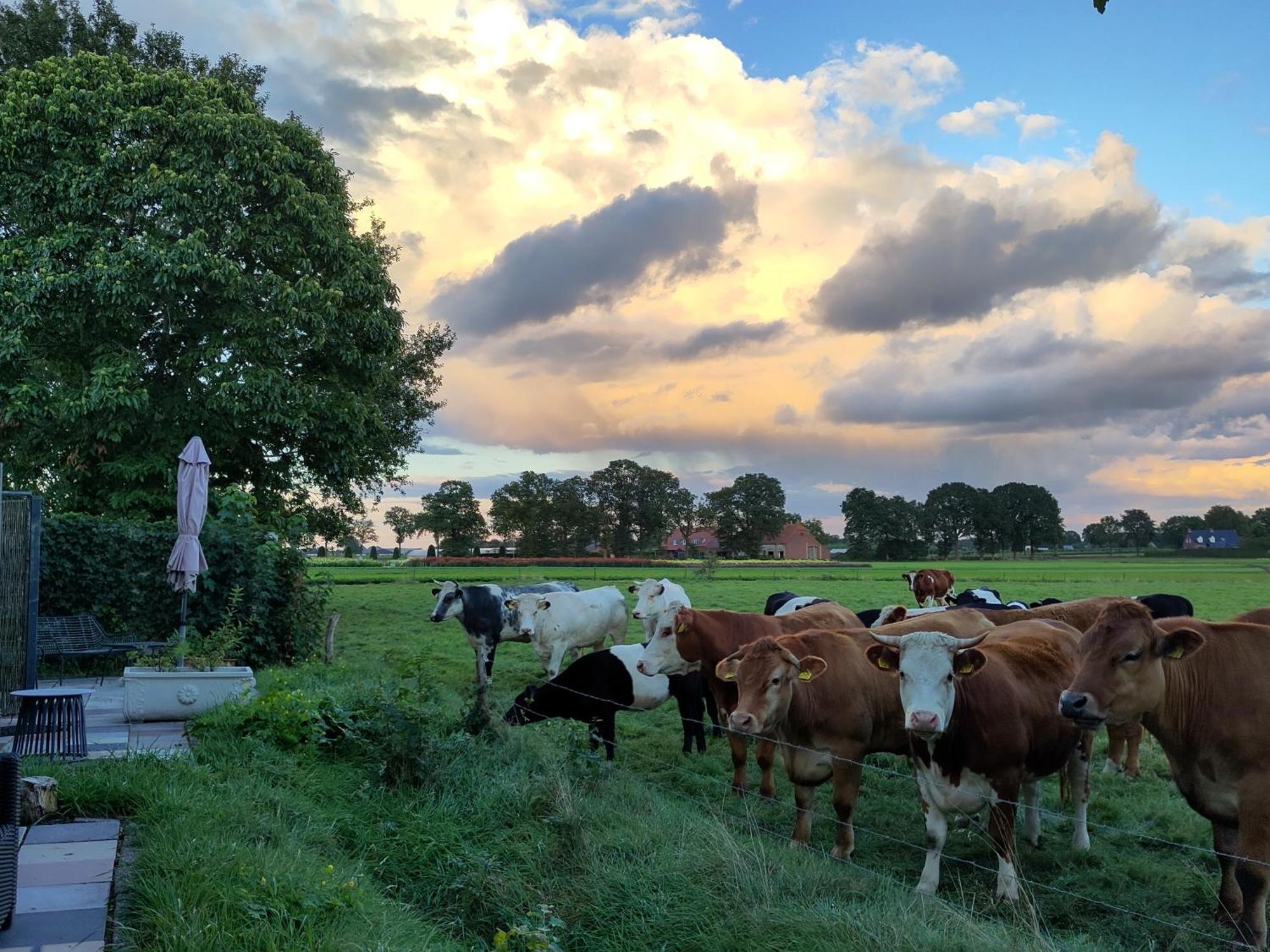 'T Voske Bed & Breakfast Zundert Eksteriør bilde